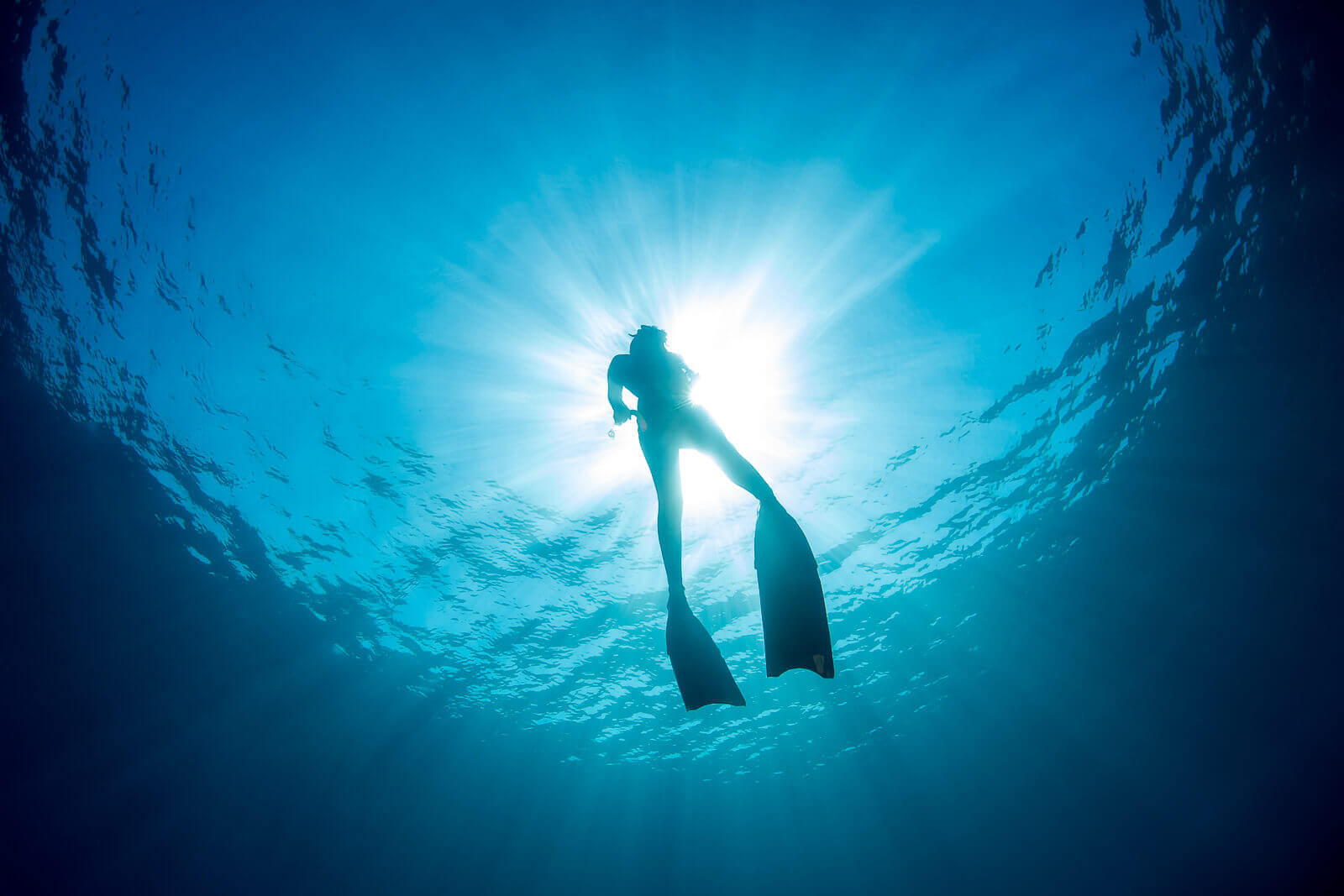 Freediving Fins