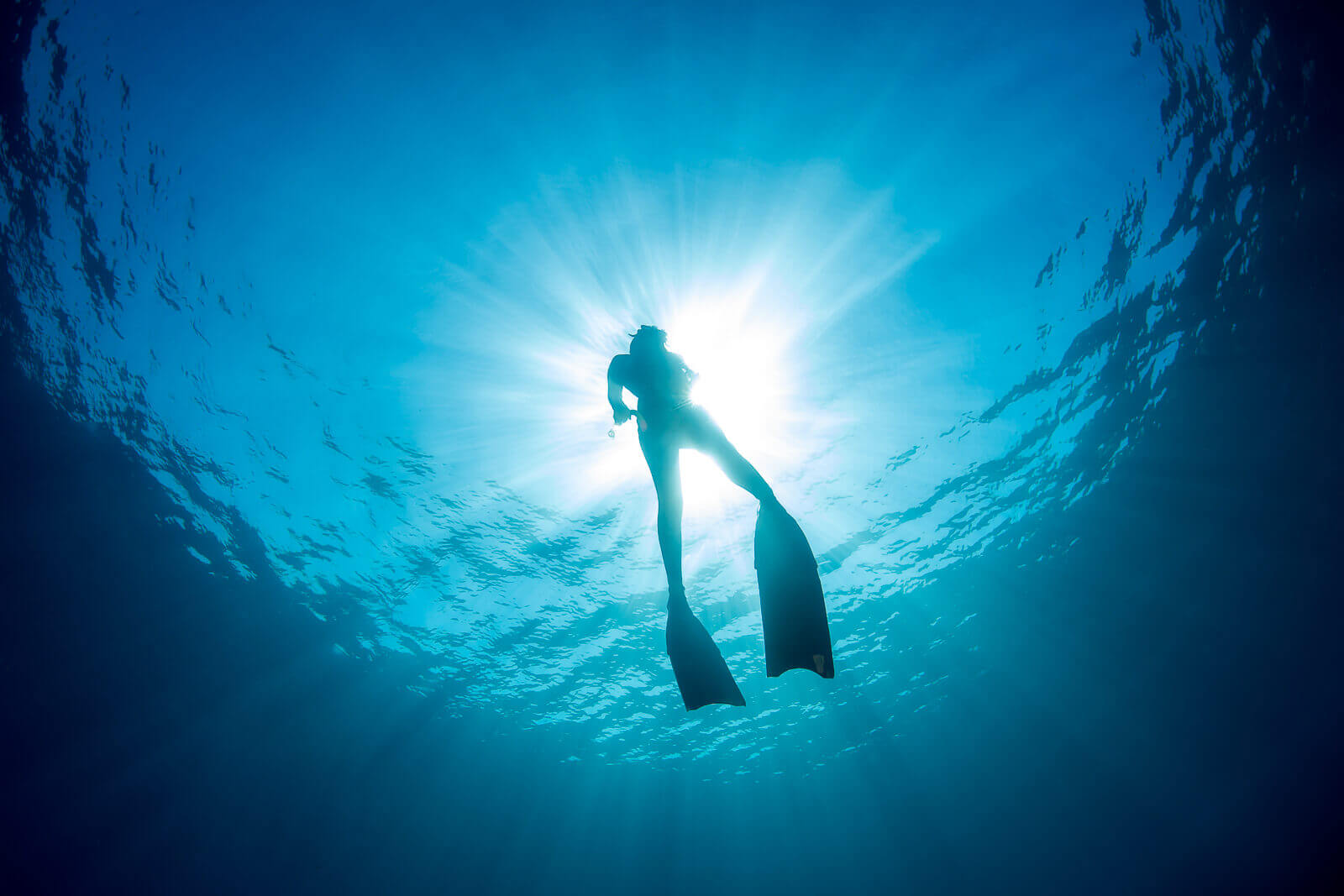 Freediving Fins - Adreno - Ocean Outfitters