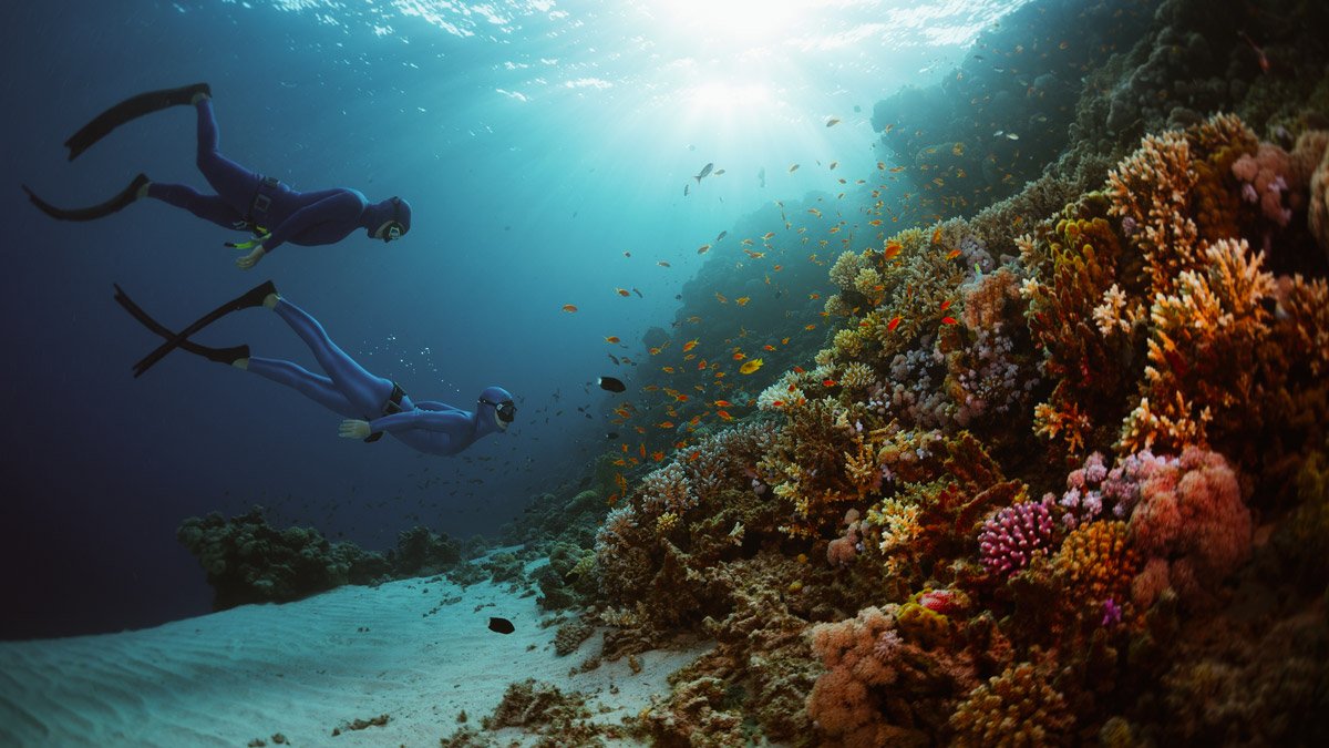 Freediving Wetsuits