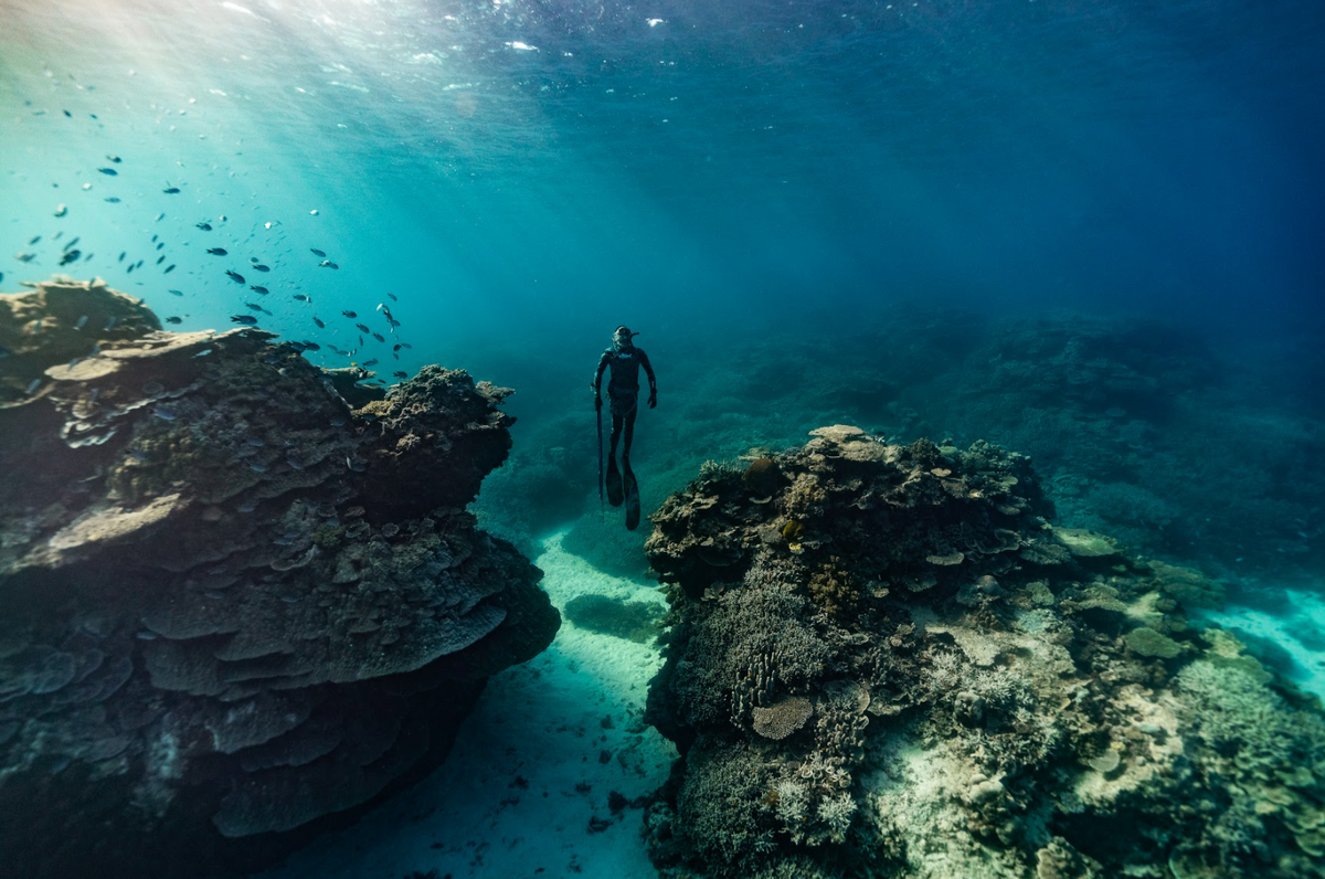 Victory | Adreno Outfitters One Stop Shop for Spearo, Free, Scuba and Surfing Goods