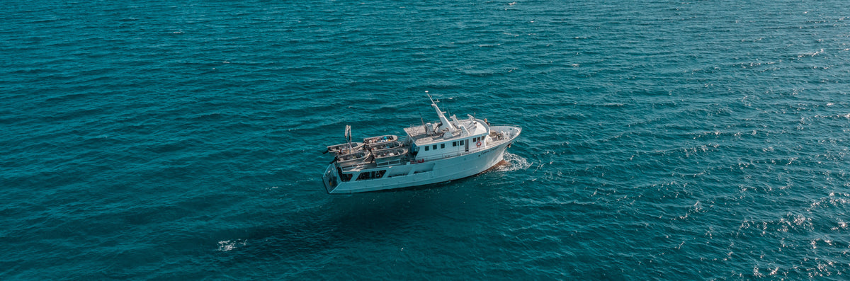 Books and Magazines | Adreno Outfitters One Stop Shop for Spearo, Free, Scuba and Surfing Goods