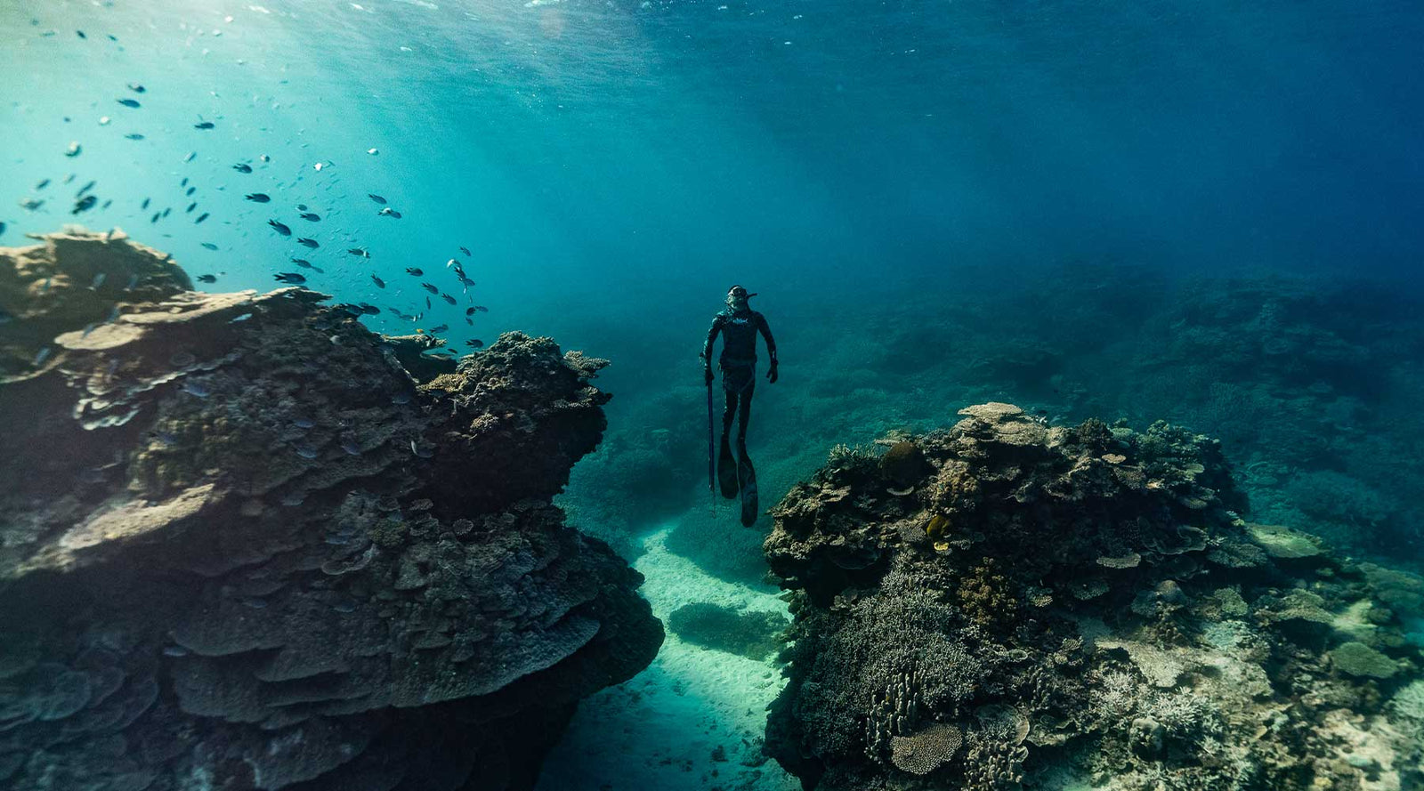 Closed Muzzle Spearguns