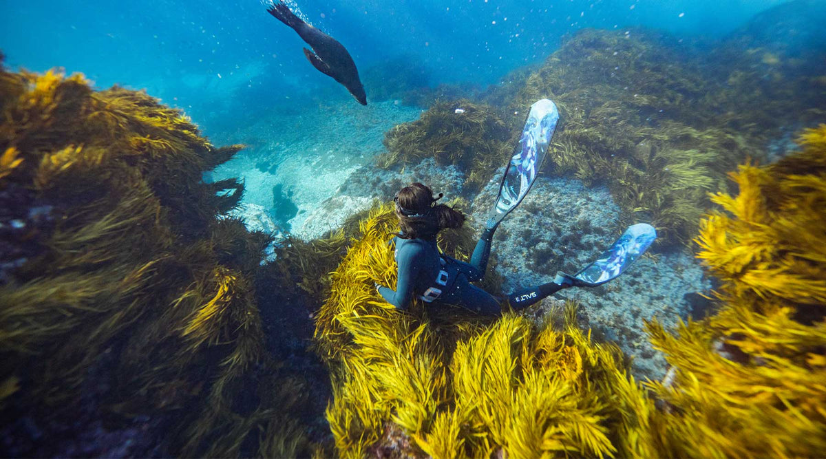 Fin Spare Parts and Maintenance | Adreno Outfitters One Stop Shop for Spearo, Free, Scuba and Surfing Goods