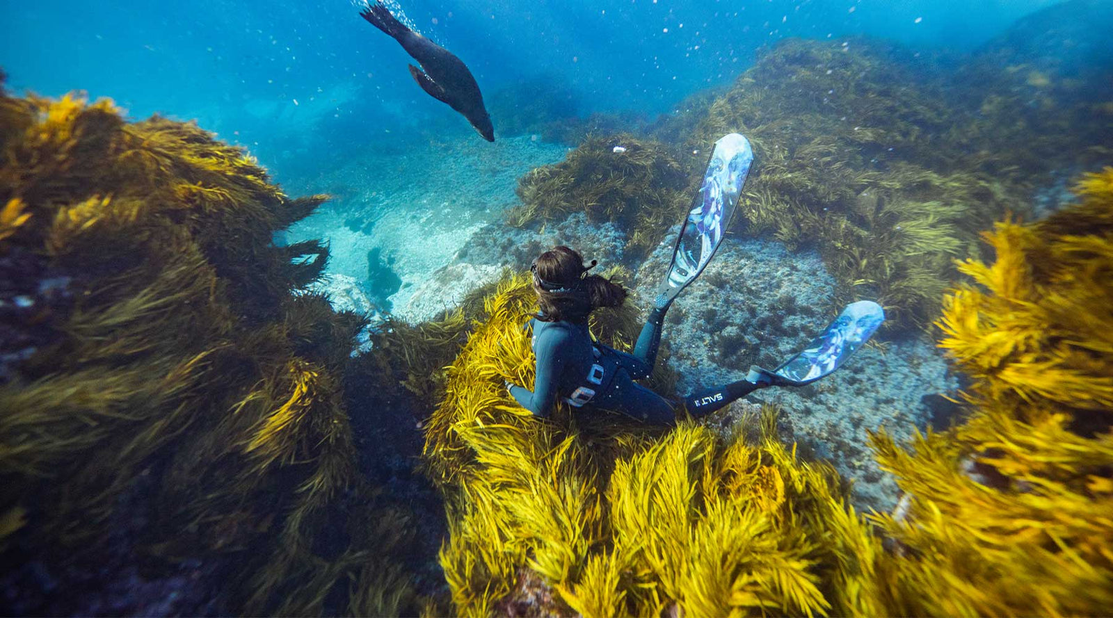 Fin Spare Parts and Maintenance