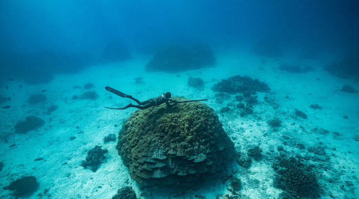 Mens Spearfishing Wetsuits | Adreno Outfitters One Stop Shop for Spearo, Free, Scuba and Surfing Goods