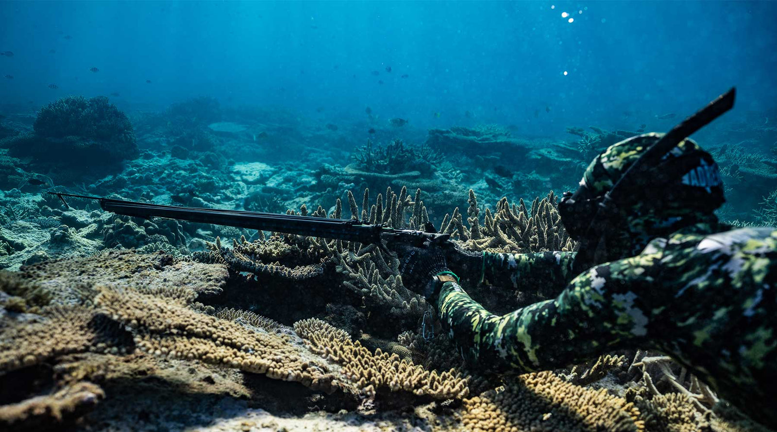 Carbon Fibre Spearguns