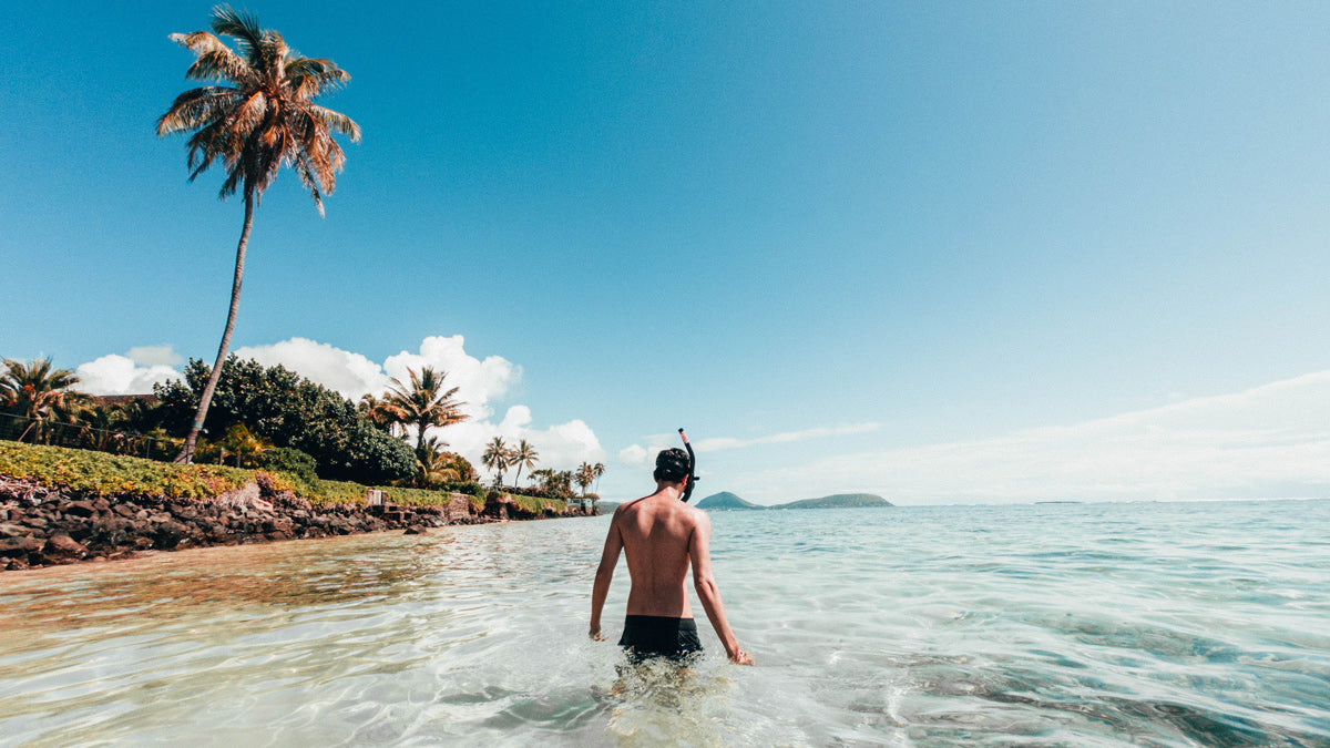 Snorkelling Snorkels