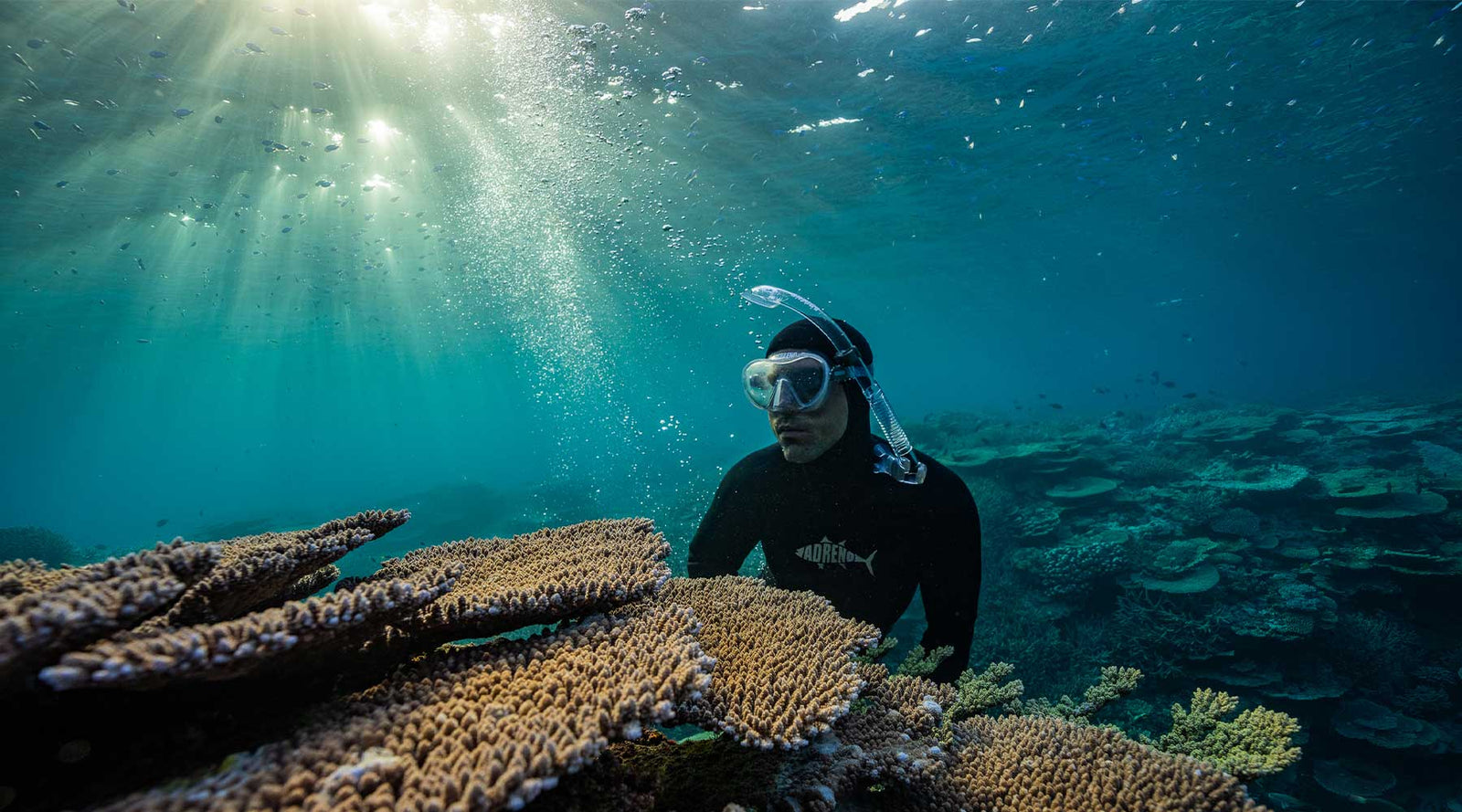 Single Lens Spearfishing Masks