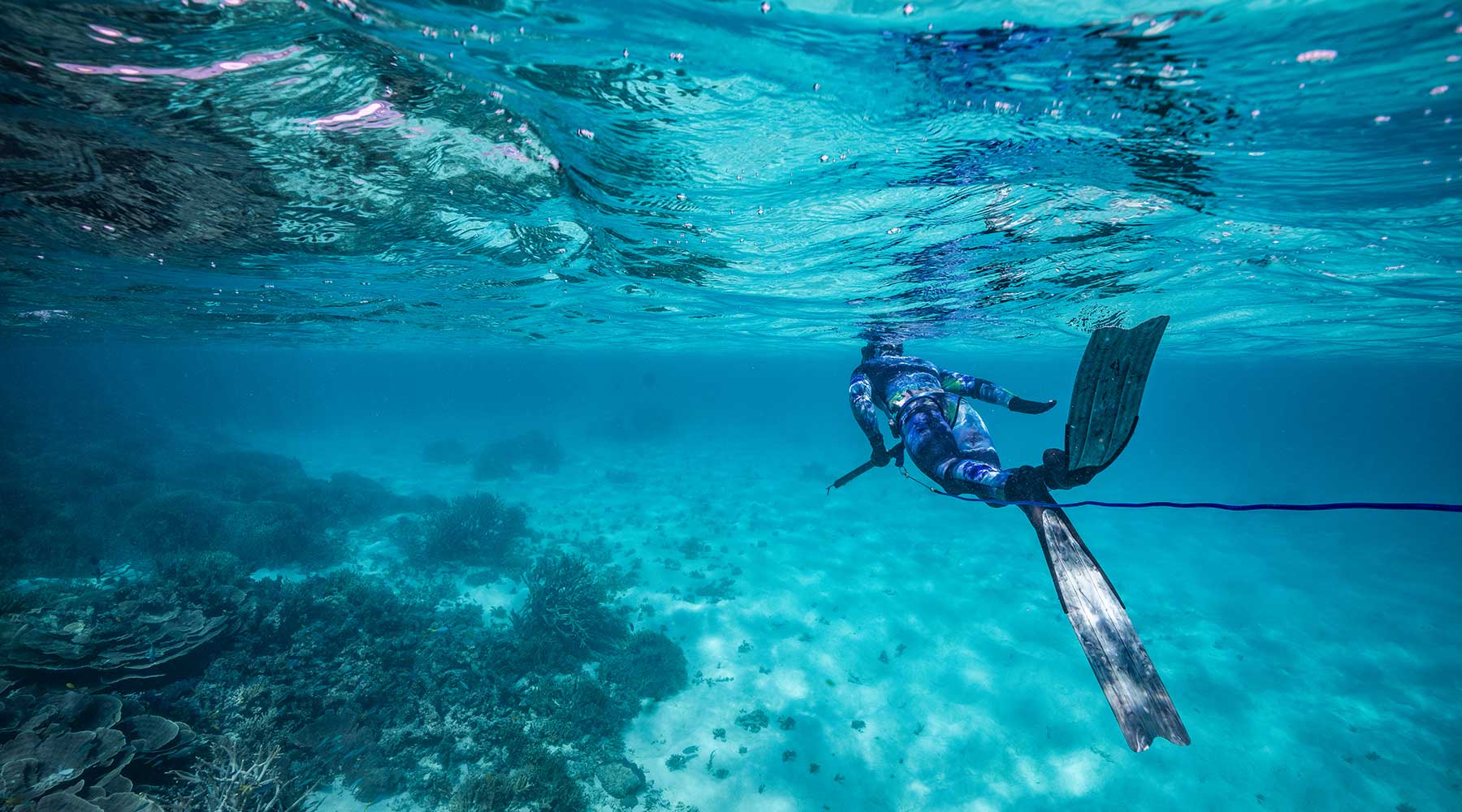Spearfishing Fins