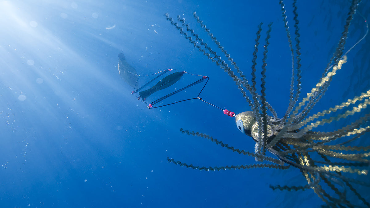 Flashers | Adreno Outfitters One Stop Shop for Spearo, Free, Scuba and Surfing Goods