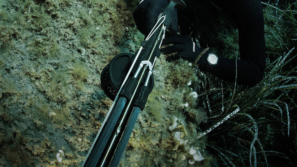 Bridles & Wishbones | Adreno Outfitters One Stop Shop for Spearo, Free, Scuba and Surfing Goods