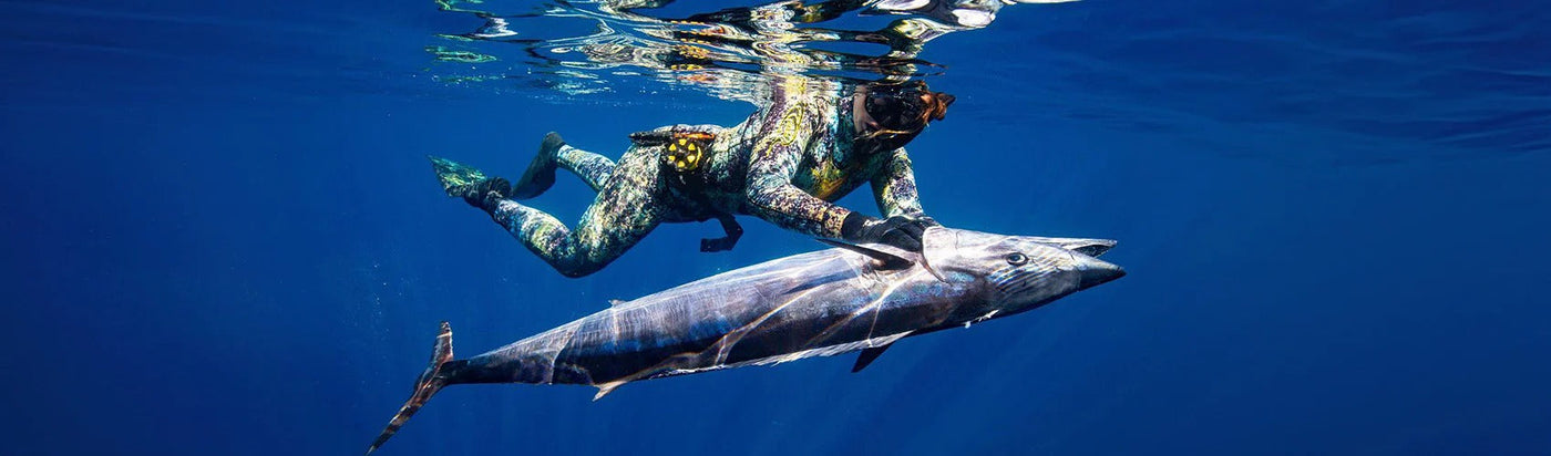 Species Guide - Wahoo