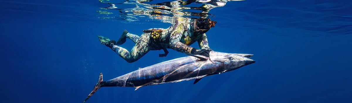 Species Guide - Wahoo