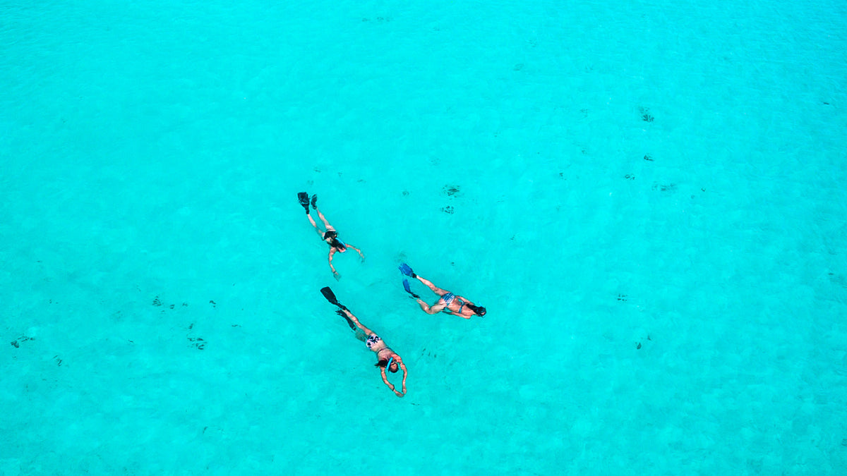 Snorkelling Packages and Sets | Adreno Outfitters One Stop Shop for Spearo, Free, Scuba and Surfing Goods