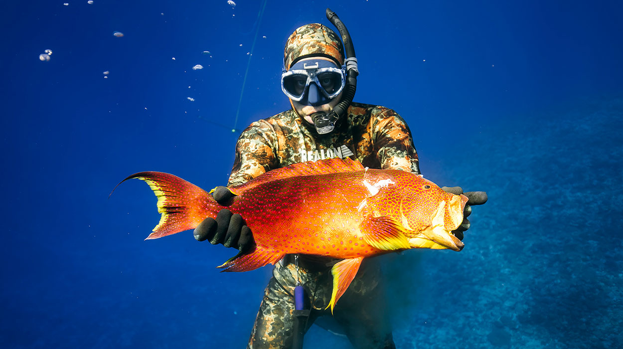 Snorkel Spare Parts and Maintenance