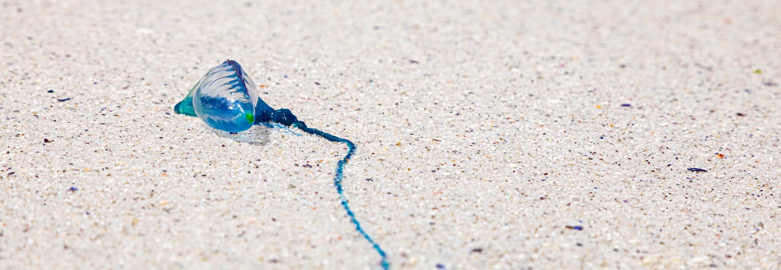 Womens Stinger Suits