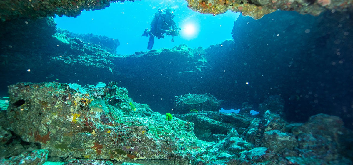 Oceanic | Adreno Outfitters One Stop Shop for Spearo, Free, Scuba and Surfing Goods