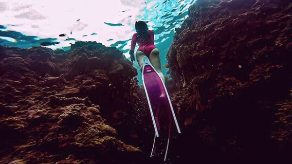Penetrator | Adreno Outfitters One Stop Shop for Spearo, Free, Scuba and Surfing Goods