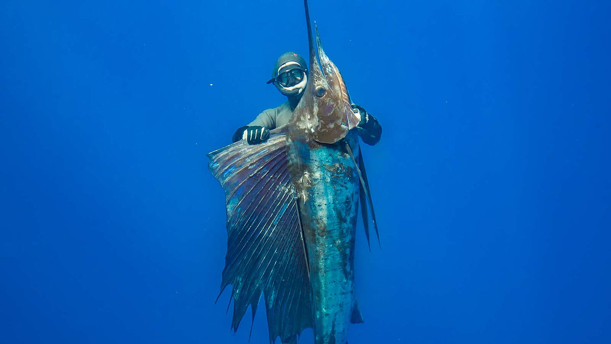 Picasso Spearguns | Adreno Outfitters One Stop Shop for Spearo, Free, Scuba and Surfing Goods