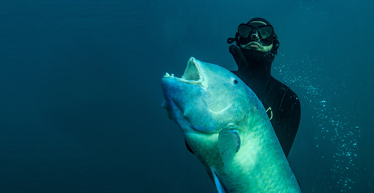 Salt of the Sea Wetsuits