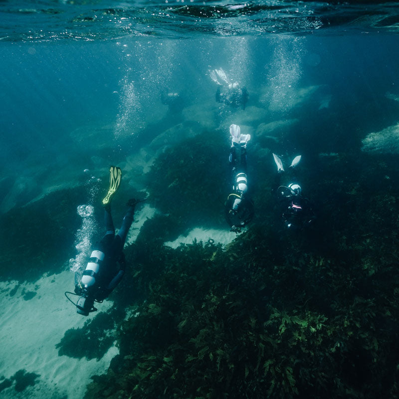 BFCM - Free Faber tank with these Scuba Packs
