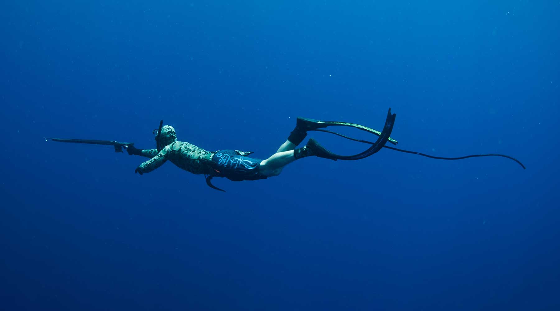Shark Deterrents