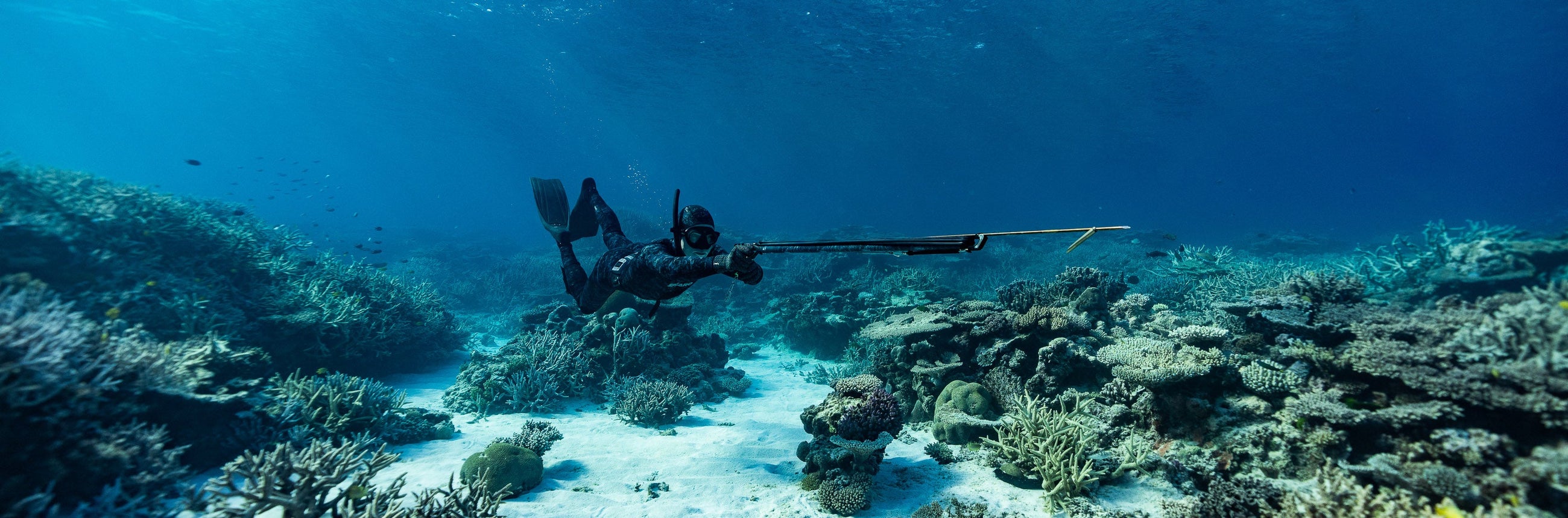 Beginner Spearfishing Equipment