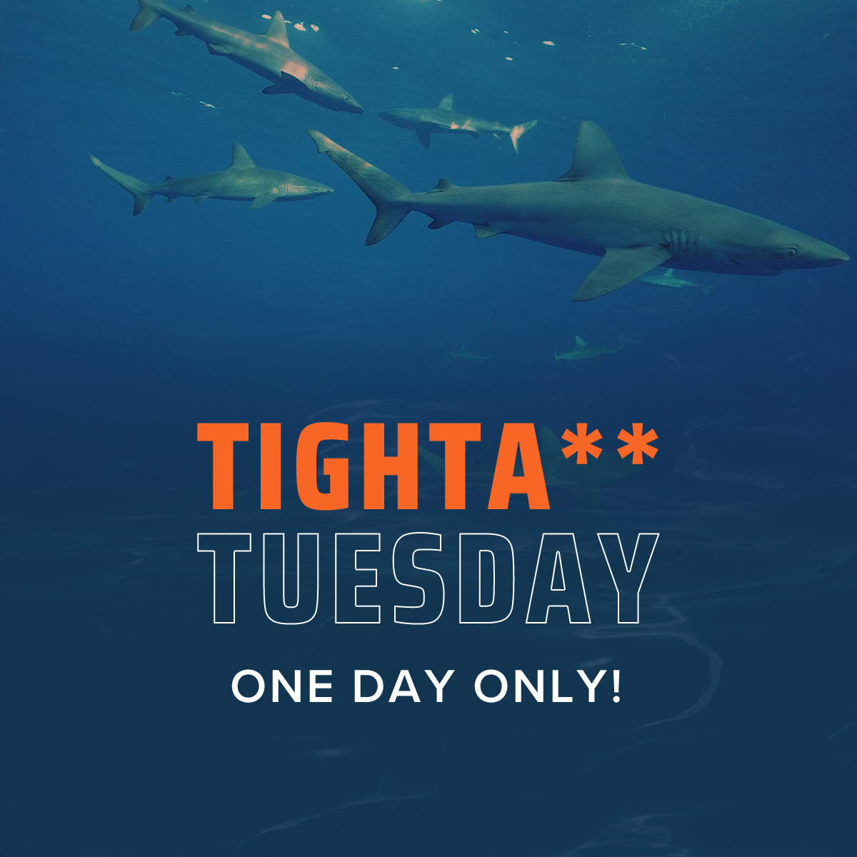 Tighta** Tuesday