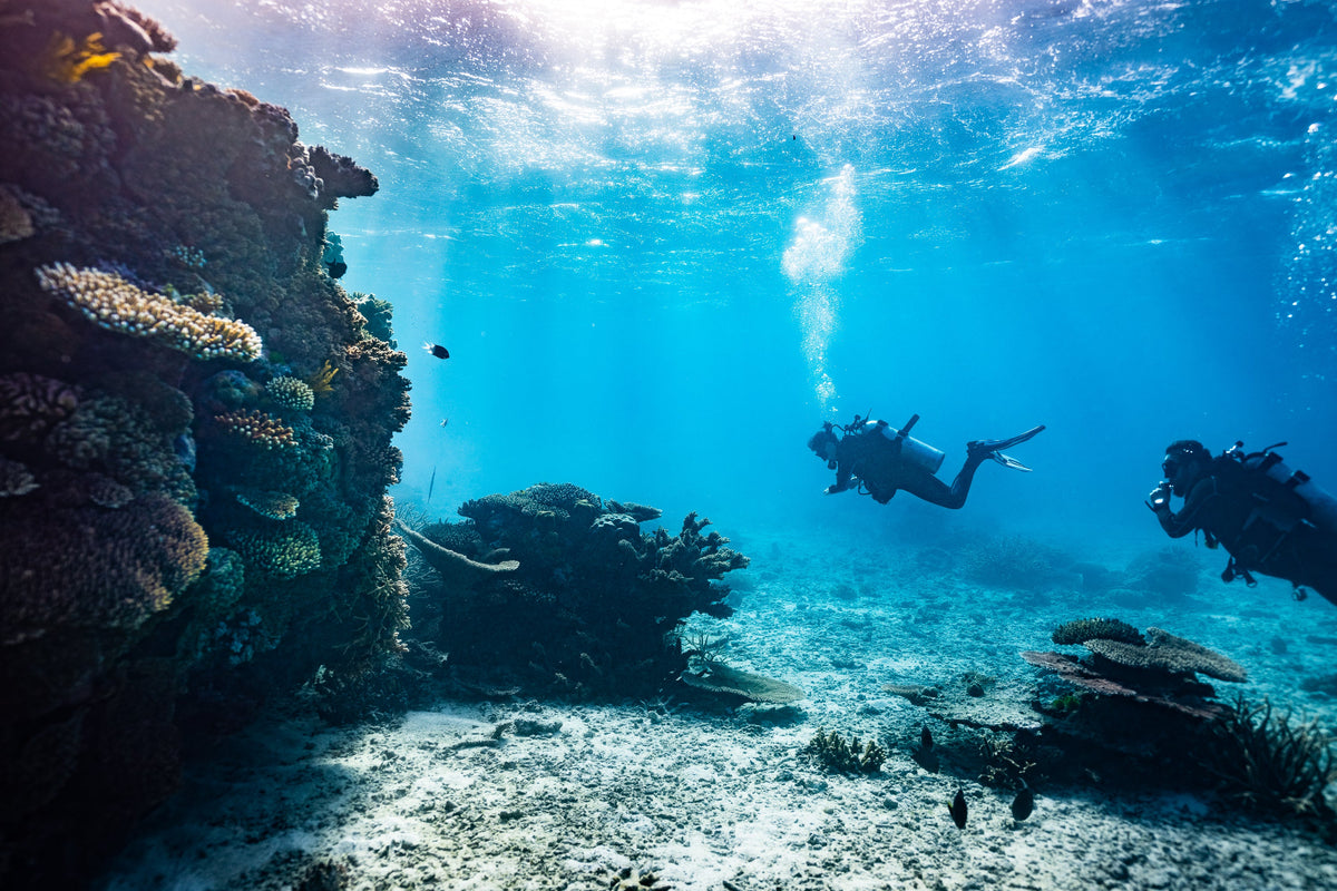 Scuba Diving