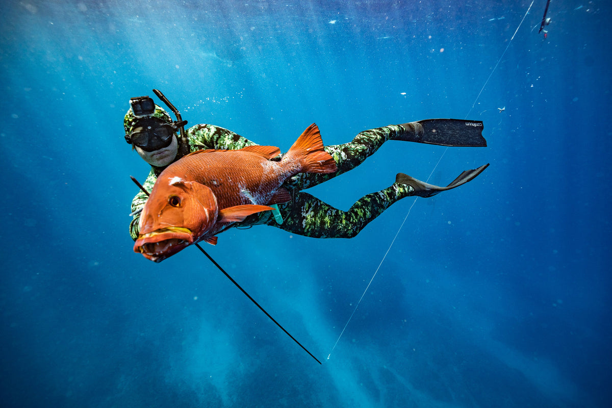 Intermediate Spearfishing Gear