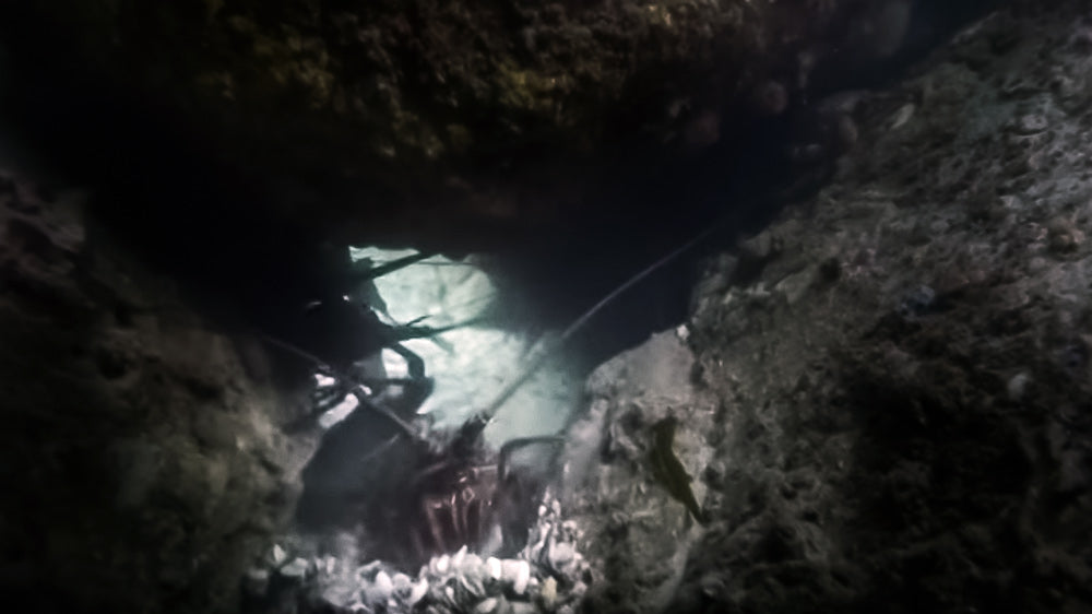 Torch Accessories | Adreno Outfitters One Stop Shop for Spearo, Free, Scuba and Surfing Goods
