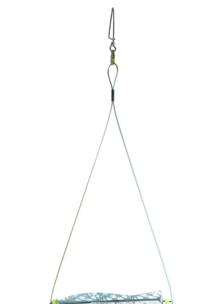 Rob Allen Ladder Teaser (flasher)