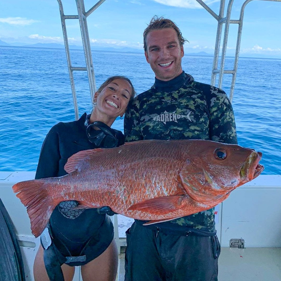 Mangrove Jack