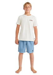 Billabong Boys All Day Layback Boardshorts