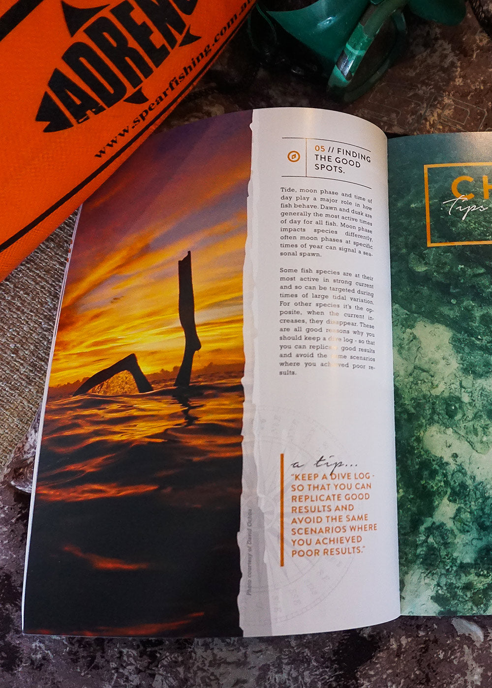 99 Tips to Get Better at Spearfishing Book