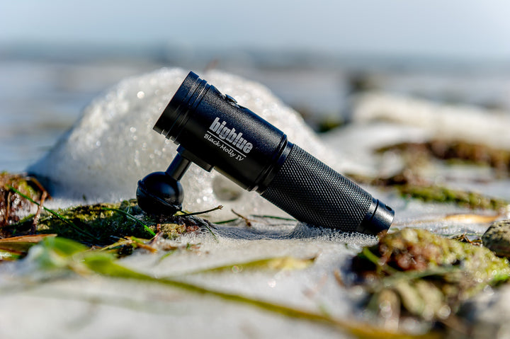 Bigblue AL1800XWP-II Black Molly IV LED Torch