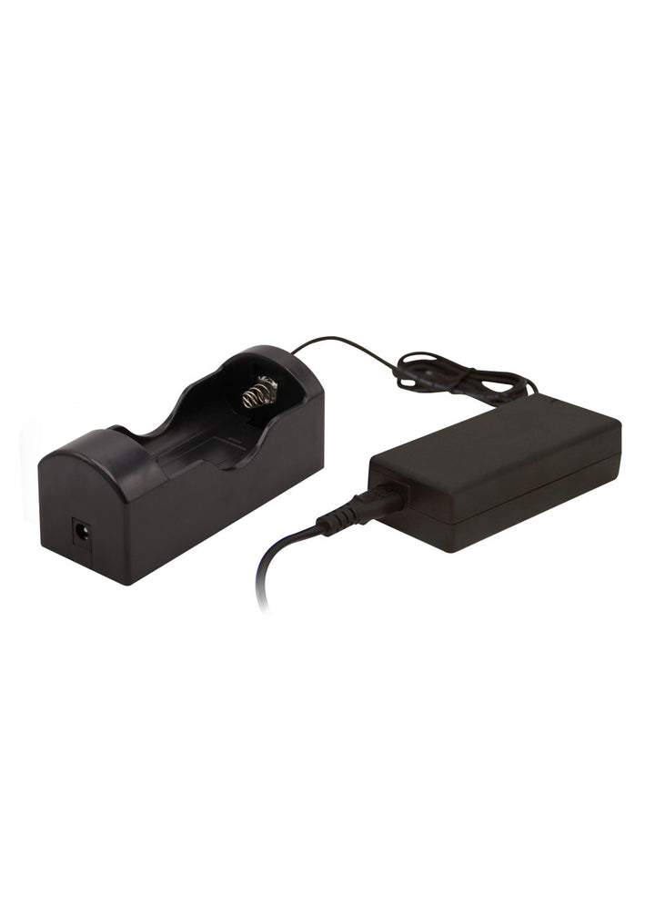 BigBlue CB4000PBRC Push Button Video Light + Remote Control