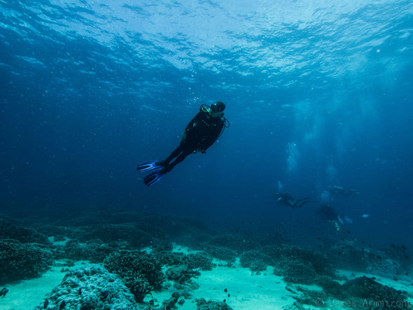 Scuba Diving Fins