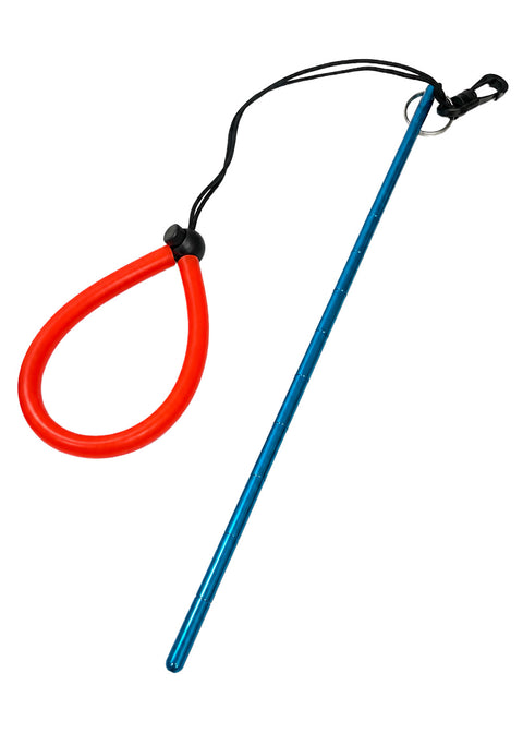 Problue Underwater Pointer w/shock line & swivel clip