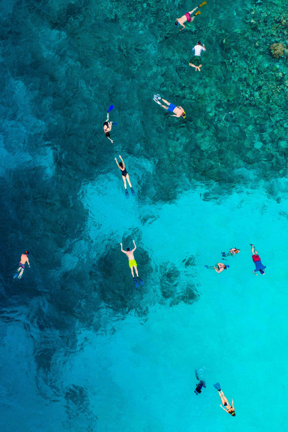 Snorkelling Rashies