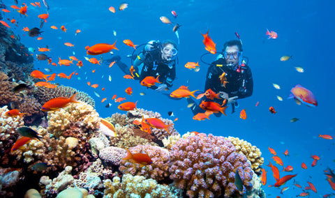 SSI Advanced Adventurer Diver Course - Melbourne