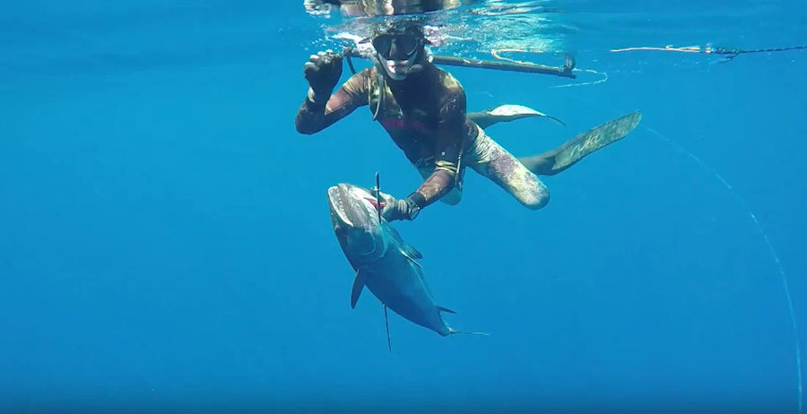 How To Target Pelagic Fish