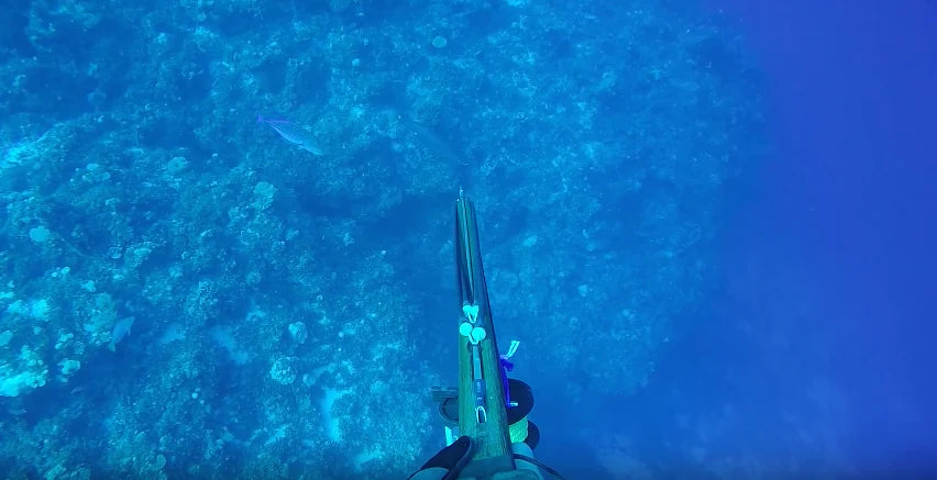 5 Quick Tips - Blue Water Hunting