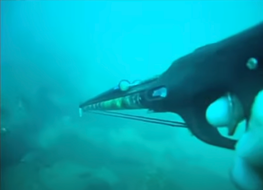 Hunting Mangrove Jack with Simon Latta