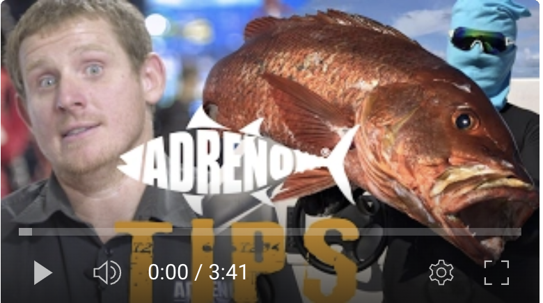 Spearfishing Mangrove Jack with Trevor Ketchion