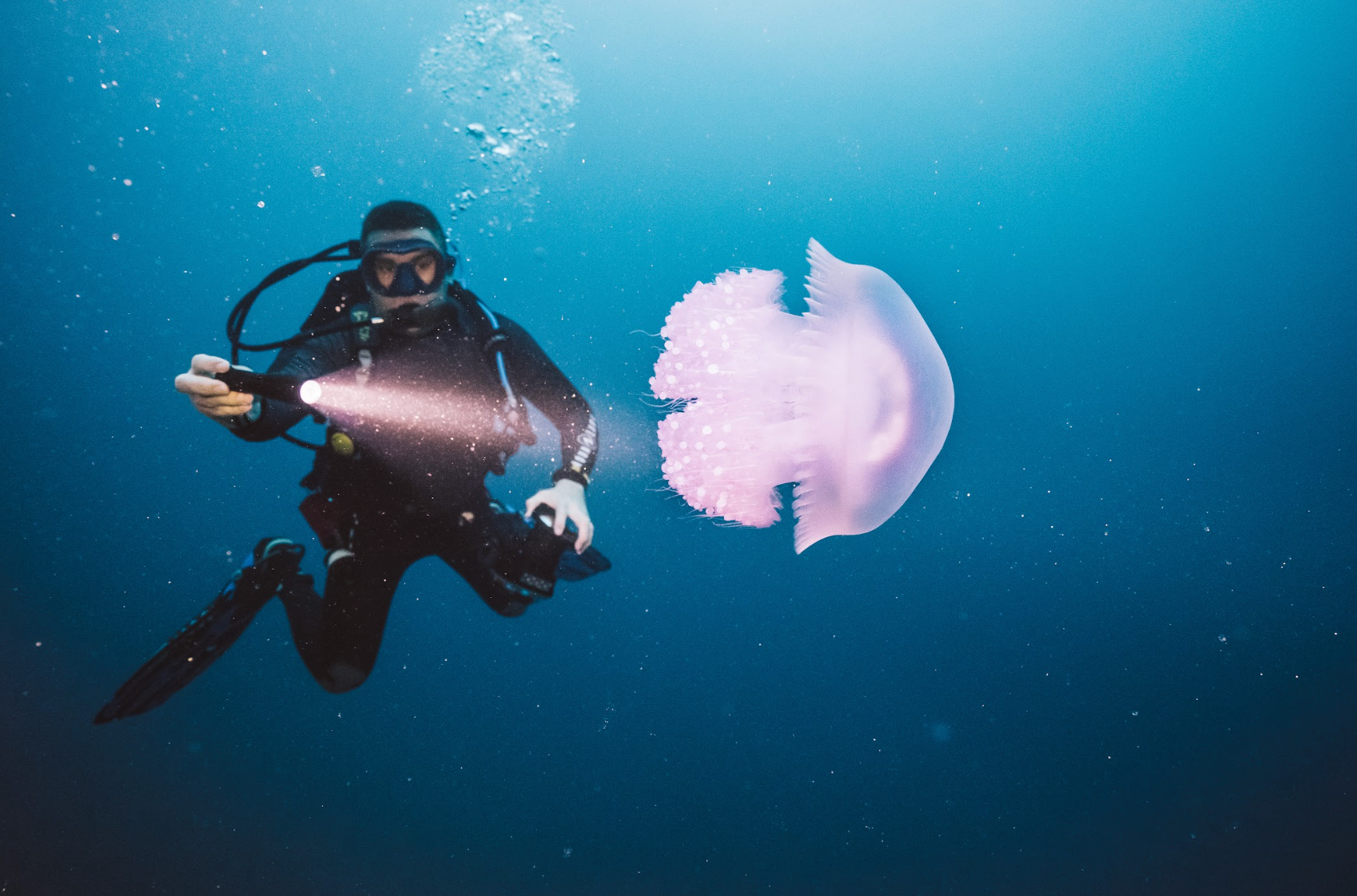 Scuba diver on an underwater trip