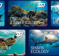 SSI INDEPENDENT DIVING SPECIALTY COURSE