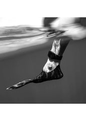 Sharkbanz 2.0 Shark Deterrent Band - All Black