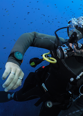 Suunto Nautic S Wrist Dive Computer