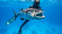 The Coral Sea Spearfishing Trips - Departing Cairns